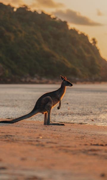 Australia's East Coast