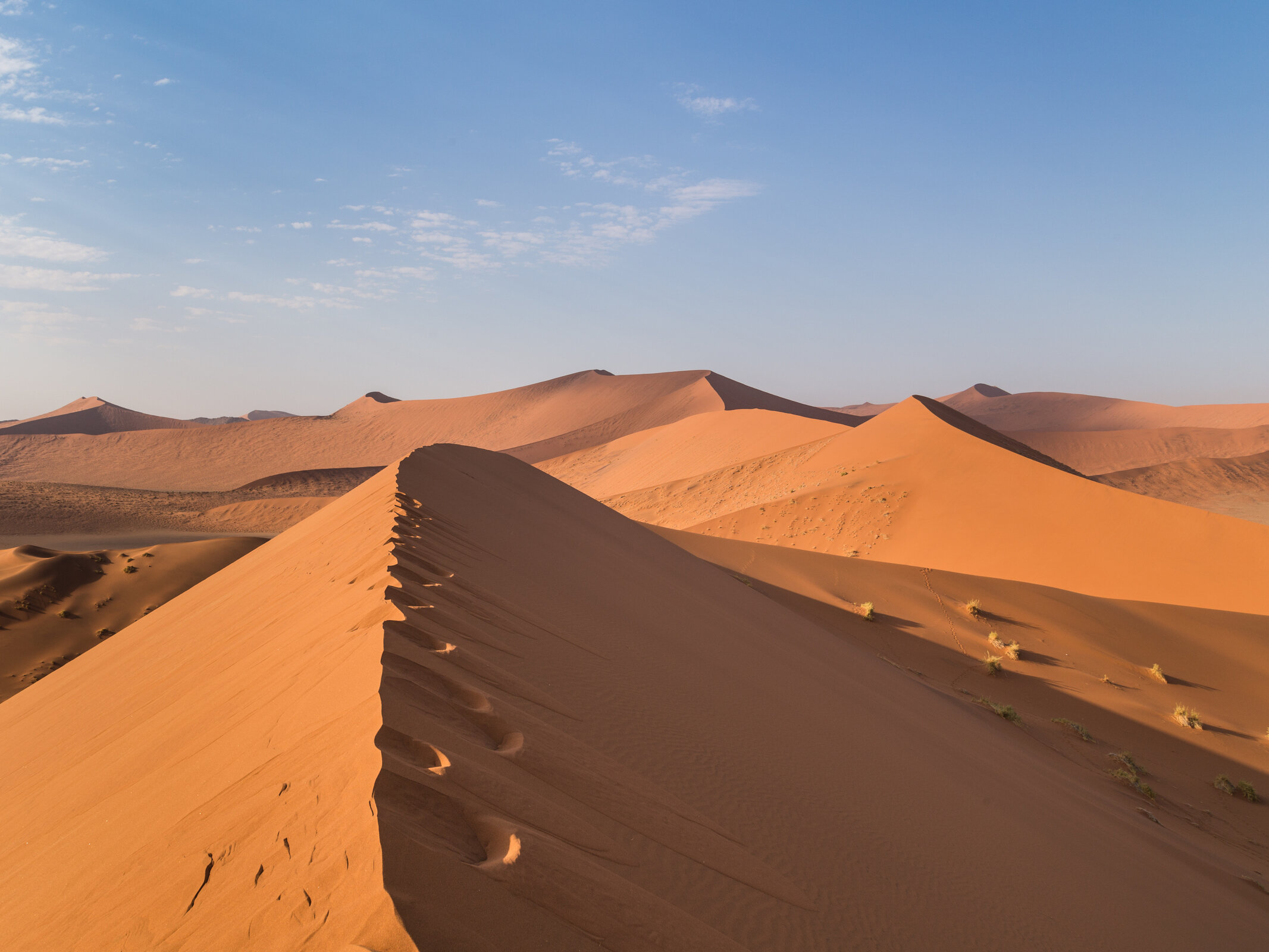 Namibia - einzigartige Landschaften & Wildtiere Rundreise buchen  journaway