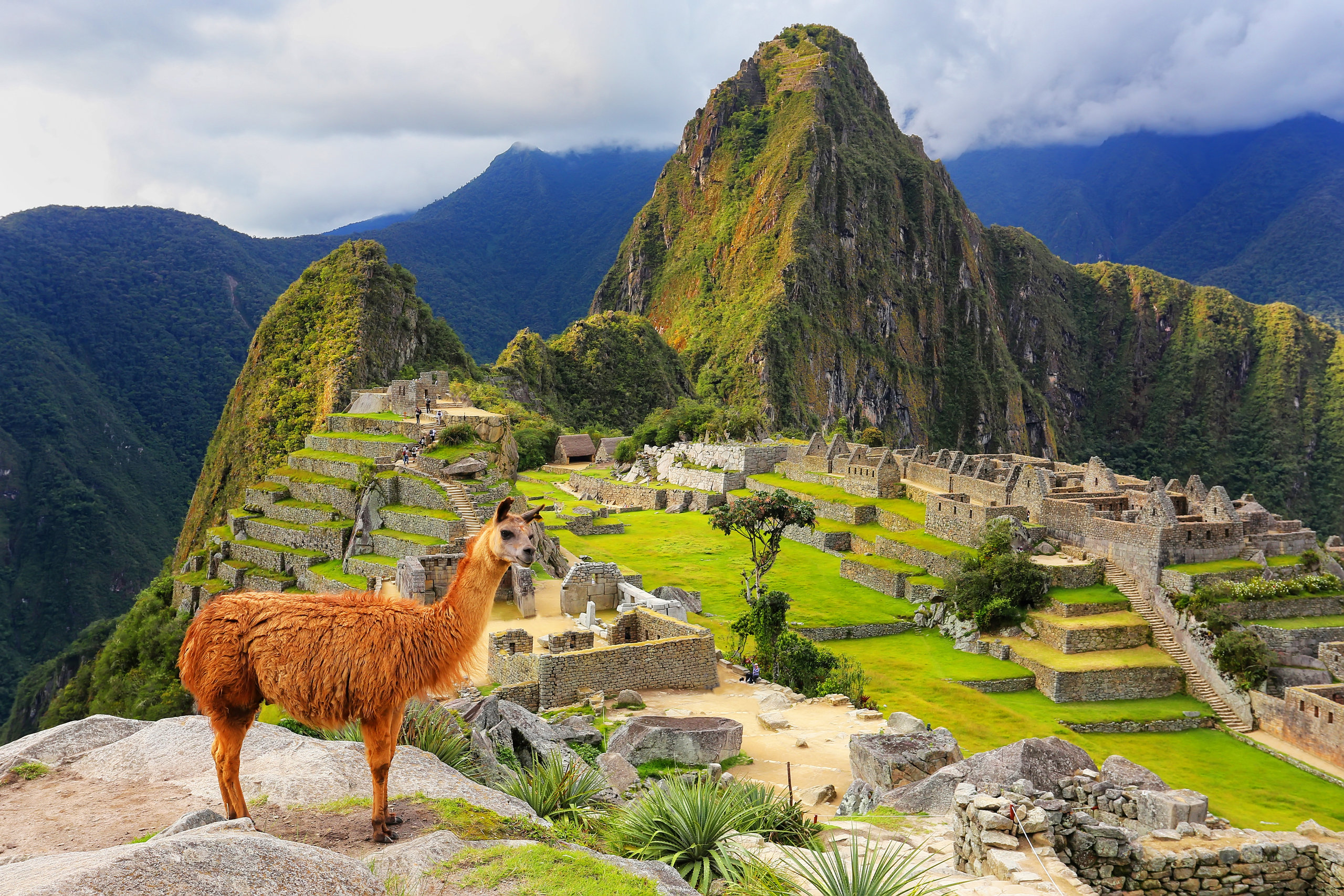 Латинская америка место в мире. Мачу-Пикчу Перу. Machu Picchu в Перу. Мачу-Пикчу, Перу (Южная Америка). Арекипа-Мачу Пикчу.