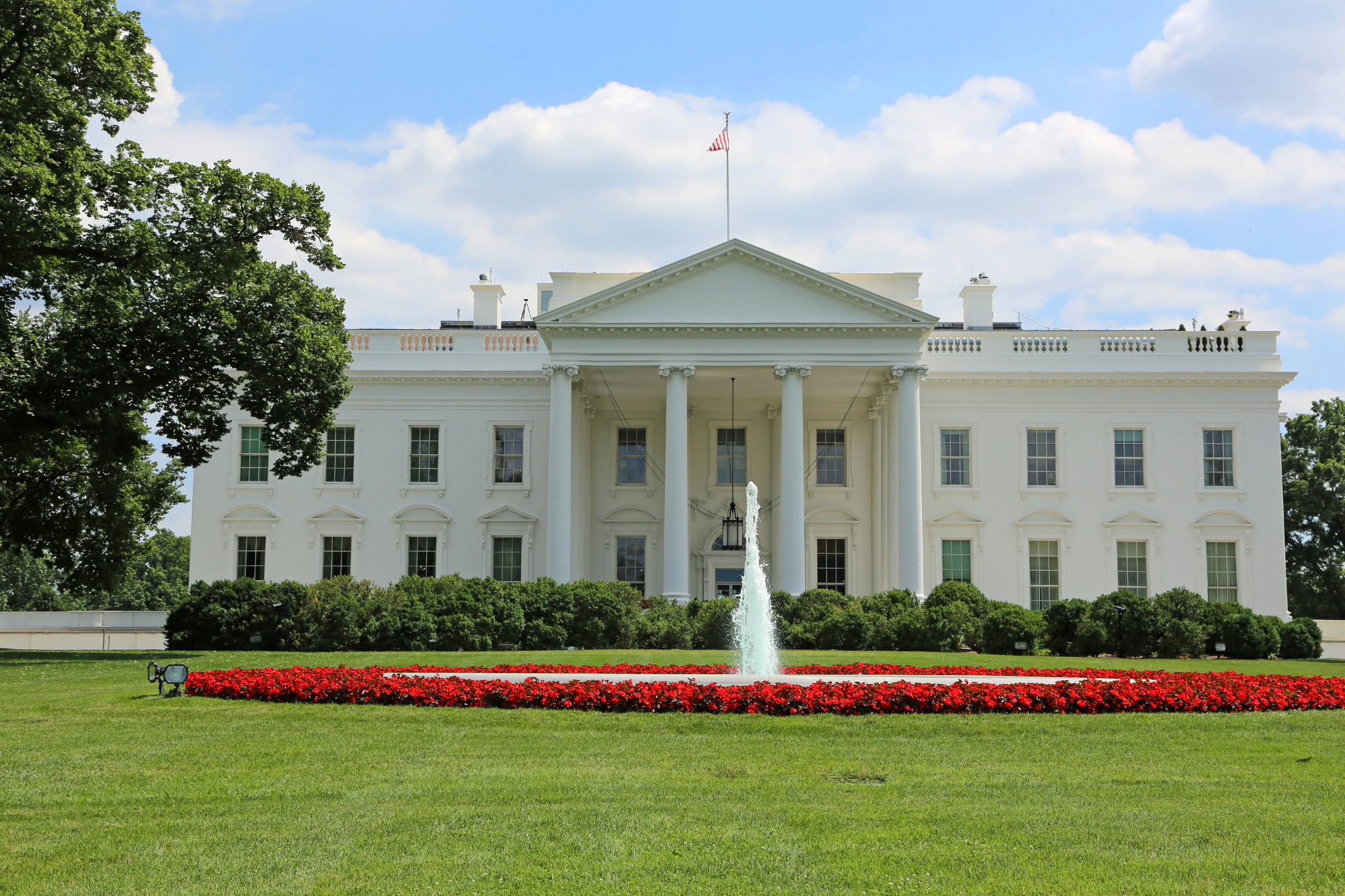 White house 5