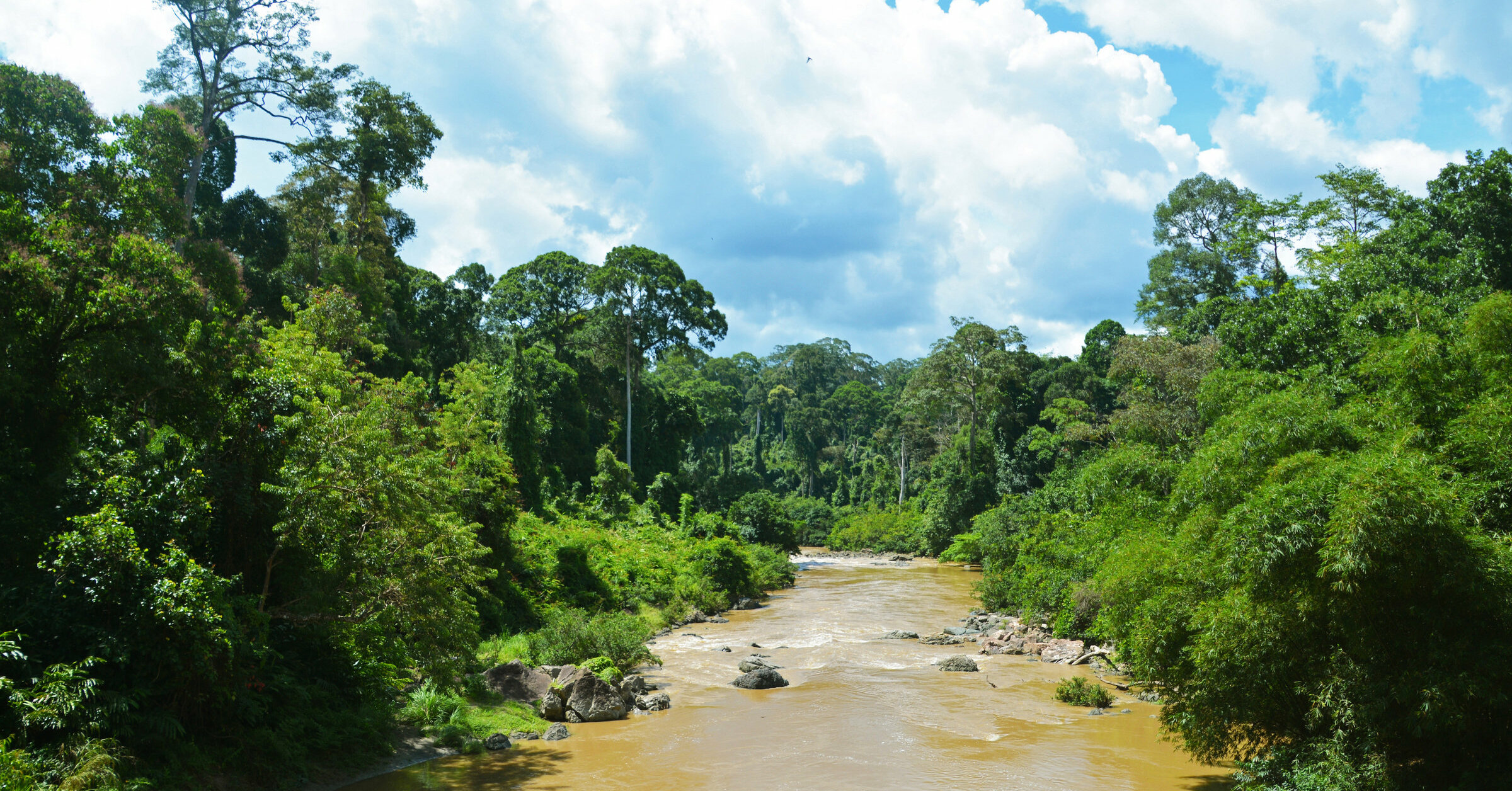  Borneo  Rundreisen vergleichen und buchen journaway