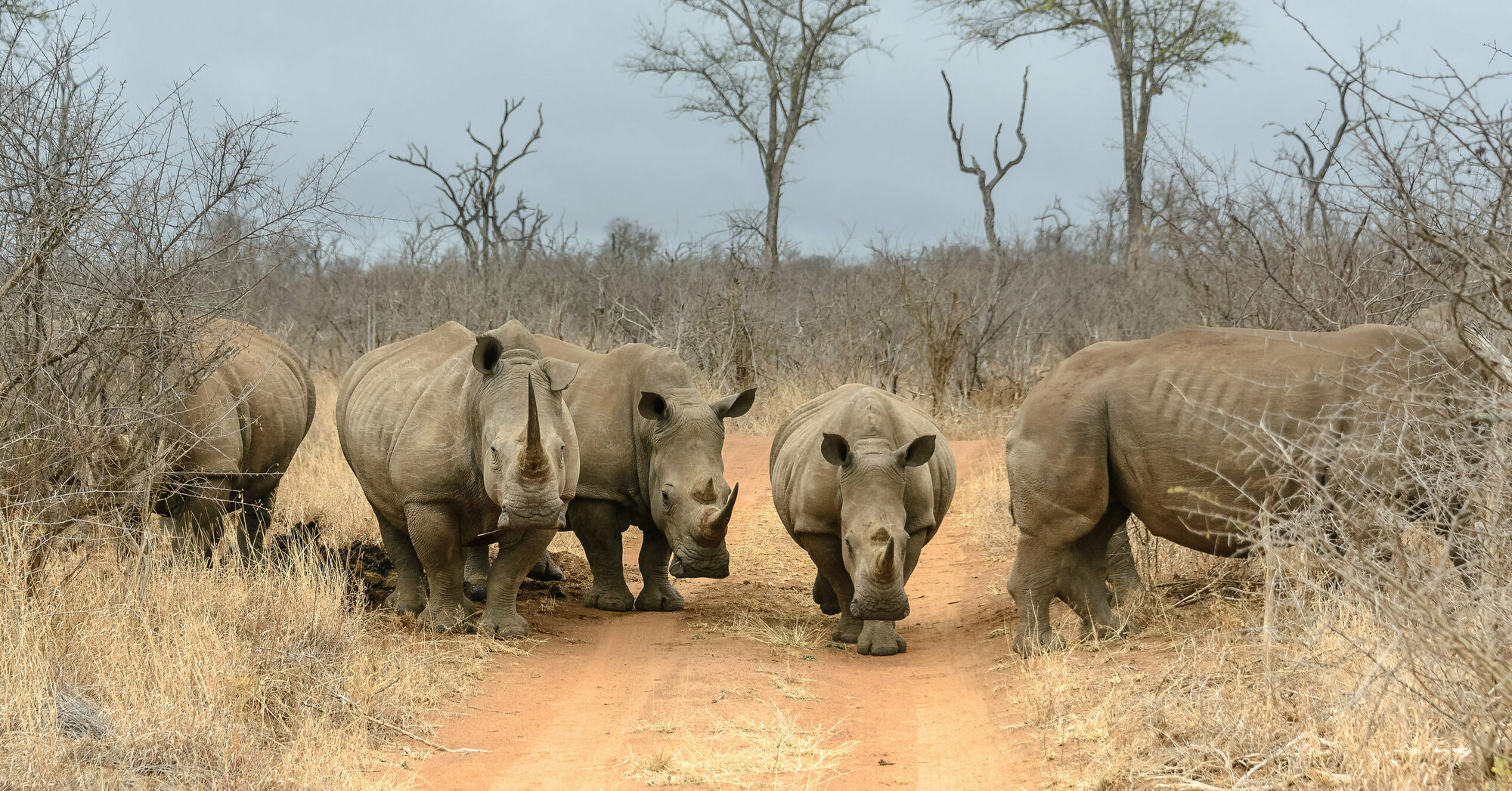 Swasiland Rundreisen Jetzt Termine F R Buchen